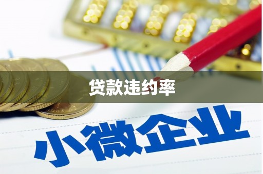 立山贷款违约率
