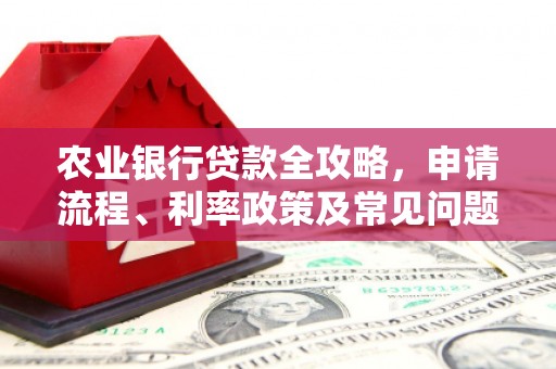 立山农业银行贷款全攻略，申请流程、利率政策及常见问题解析