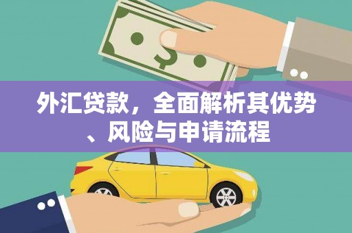 立山外汇贷款，全面解析其优势、风险与申请流程