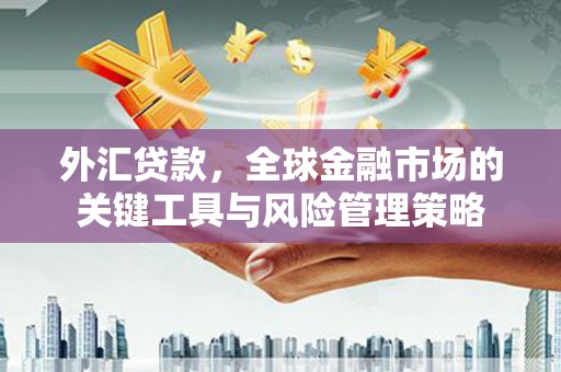 立山外汇贷款，全球金融市场的关键工具与风险管理策略