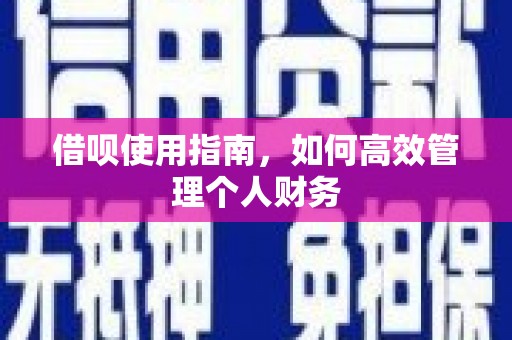 立山借呗使用指南，如何高效管理个人财务