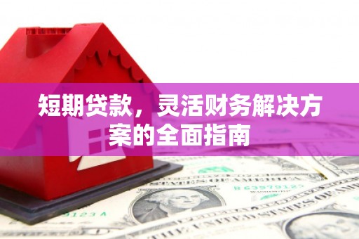 立山短期贷款，灵活财务解决方案的全面指南