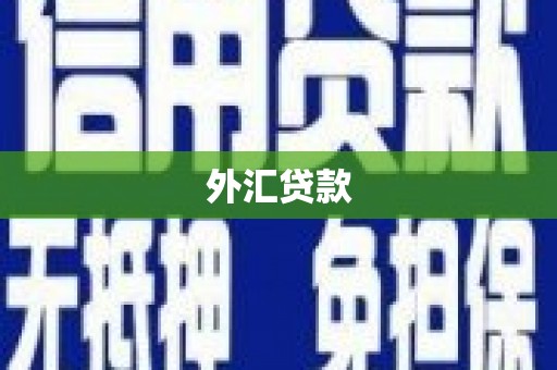 立山外汇贷款