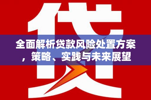 立山全面解析贷款风险处置方案，策略、实践与未来展望