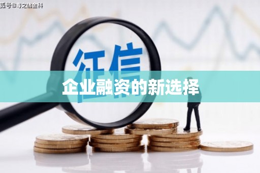 立山企业融资的新选择