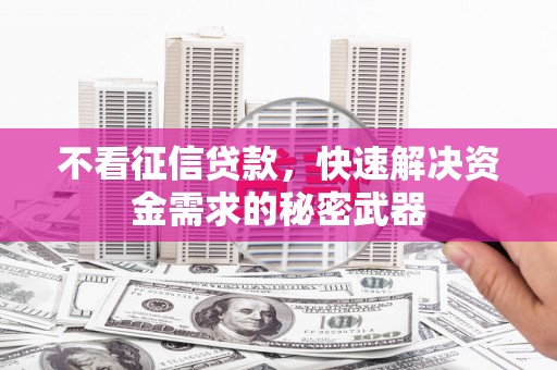 立山不看征信贷款，快速解决资金需求的秘密武器