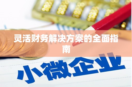 立山灵活财务解决方案的全面指南