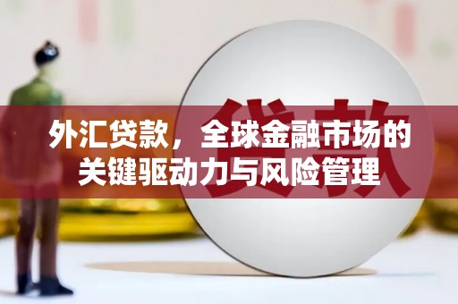 立山外汇贷款，全球金融市场的关键驱动力与风险管理