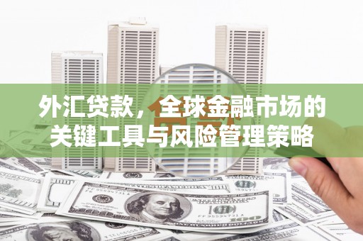 立山外汇贷款，全球金融市场的关键工具与风险管理策略