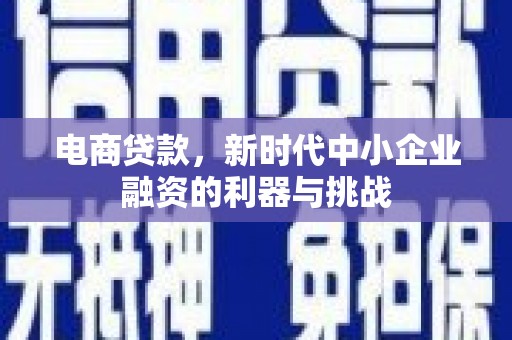 立山电商贷款，新时代中小企业融资的利器与挑战