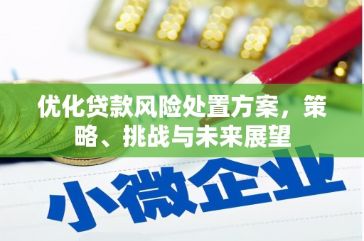 立山优化贷款风险处置方案，策略、挑战与未来展望