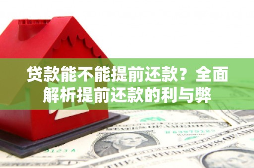 立山贷款能不能提前还款？全面解析提前还款的利与弊