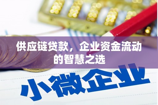 立山供应链贷款，企业资金流动的智慧之选