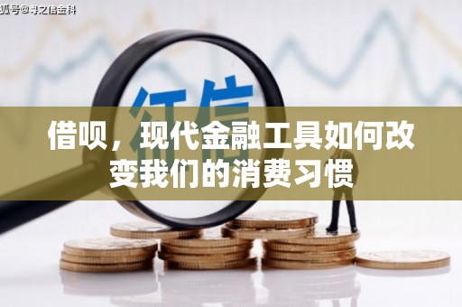 立山借呗，现代金融工具如何改变我们的消费习惯