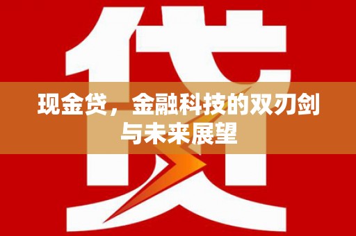 立山现金贷，金融科技的双刃剑与未来展望