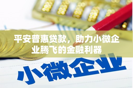 立山平安普惠贷款，助力小微企业腾飞的金融利器