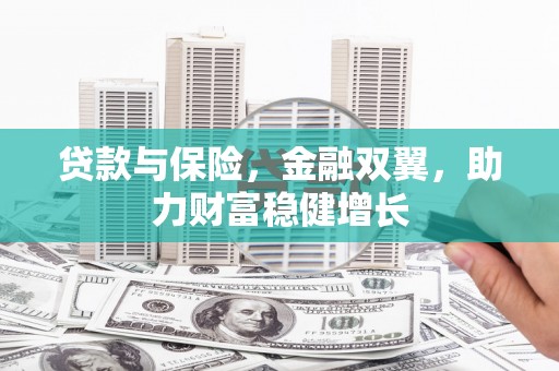 立山贷款与保险，金融双翼，助力财富稳健增长