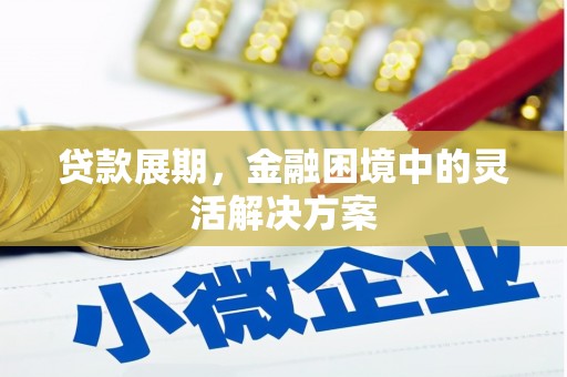 立山贷款展期，金融困境中的灵活解决方案