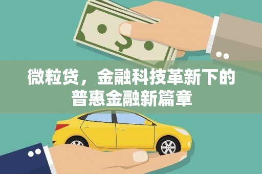 立山微粒贷，金融科技革新下的普惠金融新篇章