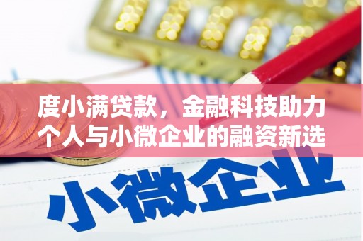 立山度小满贷款，金融科技助力个人与小微企业的融资新选择