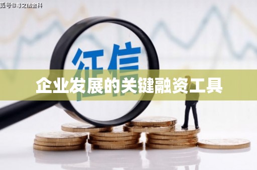 立山企业发展的关键融资工具