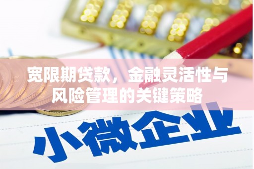 立山宽限期贷款，金融灵活性与风险管理的关键策略
