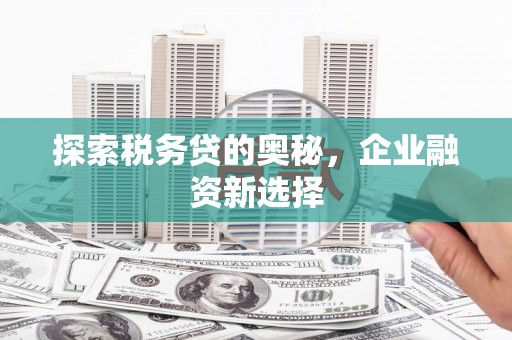 立山探索税务贷的奥秘，企业融资新选择