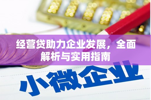 立山经营贷助力企业发展，全面解析与实用指南