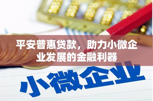 立山平安普惠贷款，助力小微企业发展的金融利器