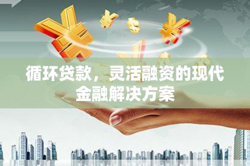 立山循环贷款，灵活融资的现代金融解决方案