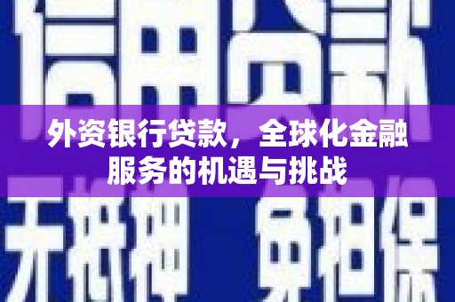 立山外资银行贷款，全球化金融服务的机遇与挑战