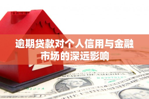 立山逾期贷款对个人信用与金融市场的深远影响