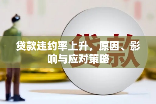立山贷款违约率上升，原因、影响与应对策略