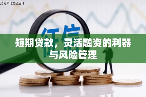立山短期贷款，灵活融资的利器与风险管理