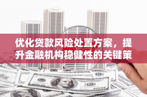 立山优化贷款风险处置方案，提升金融机构稳健性的关键策略