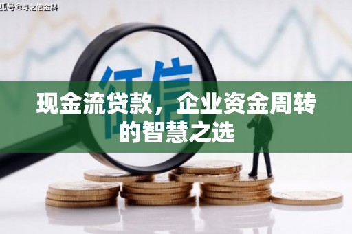 立山现金流贷款，企业资金周转的智慧之选