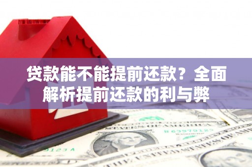 立山贷款能不能提前还款？全面解析提前还款的利与弊