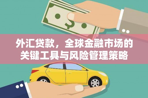 立山外汇贷款，全球金融市场的关键工具与风险管理策略