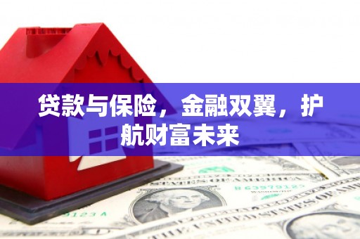 立山贷款与保险，金融双翼，护航财富未来