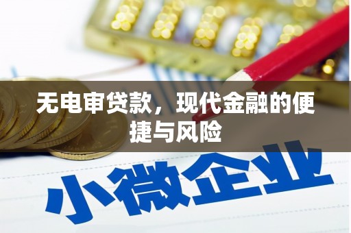 立山无电审贷款，现代金融的便捷与风险