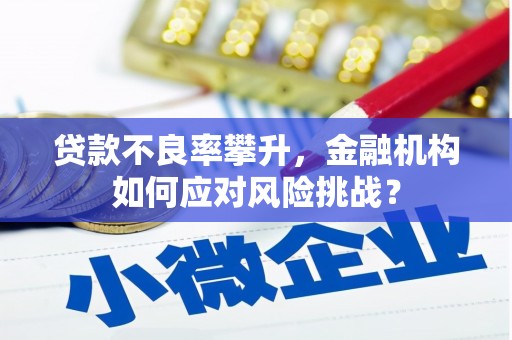 立山贷款不良率攀升，金融机构如何应对风险挑战？