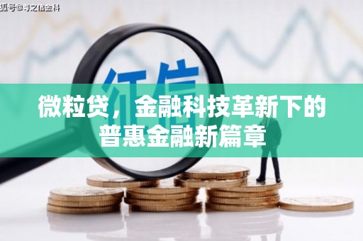 立山微粒贷，金融科技革新下的普惠金融新篇章
