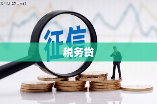 立山税务贷