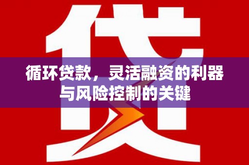 立山循环贷款，灵活融资的利器与风险控制的关键