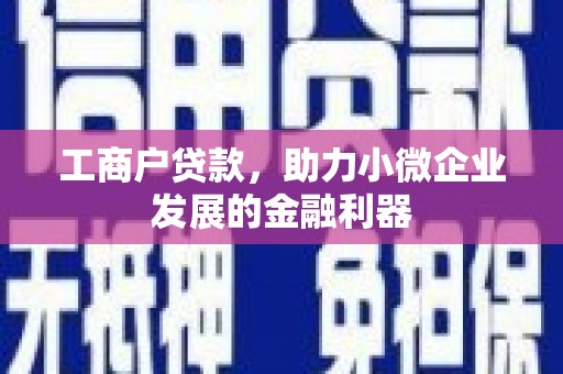 立山工商户贷款，助力小微企业发展的金融利器