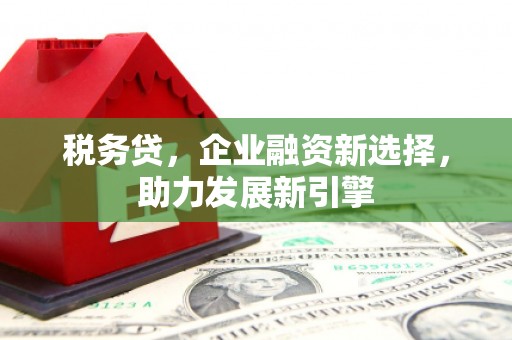 立山税务贷，企业融资新选择，助力发展新引擎