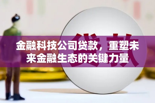 立山金融科技公司贷款，重塑未来金融生态的关键力量