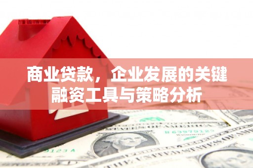 立山商业贷款，企业发展的关键融资工具与策略分析