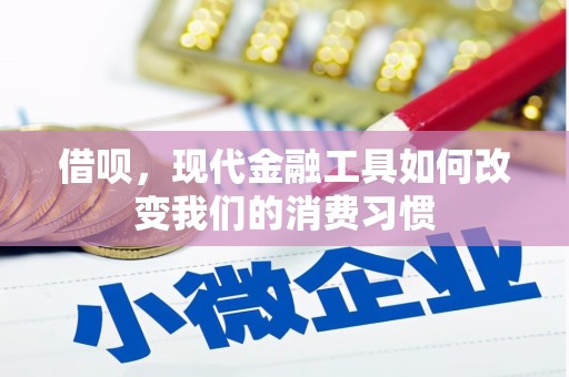 立山借呗，现代金融工具如何改变我们的消费习惯