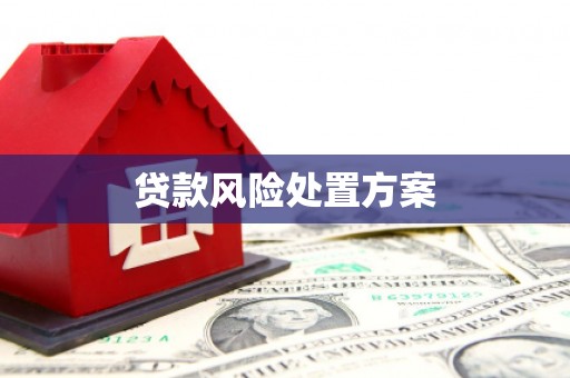 立山贷款风险处置方案